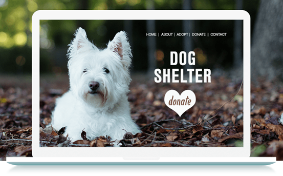 完美CTA:網(wǎng)站成功的關(guān)鍵所在 完美CTA:網(wǎng)站成功的關(guān)鍵所在