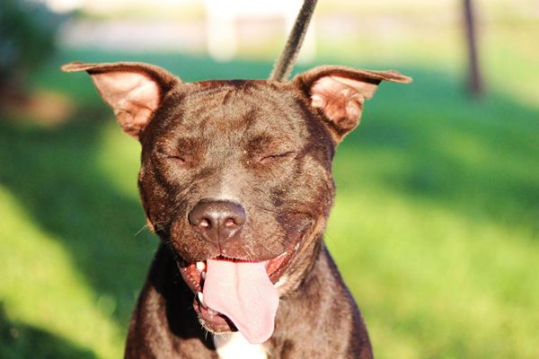 來自社交媒體的圖片如何幫你在網(wǎng)絡上脫穎而出 來自社交媒體的圖片如何幫你在網(wǎng)絡上脫穎而出